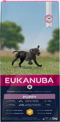 Eukanuba Puppy Large Breed med Kylling. 12 kg. 