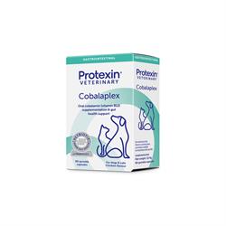 Cobalaplex. Tilskudsfoder med Vitamin B12 og Folinsyre til hund og kat. 60 kapsler